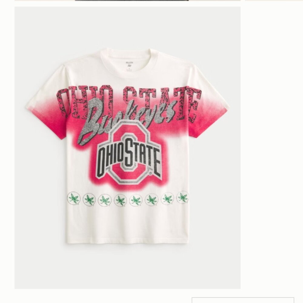 NWT Men's Hollister Ohio State Graphic T- XL
